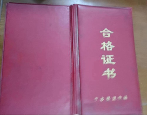 清代御医第四代传人——黎化雨
