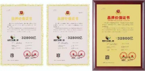 黄河千年清一回活性龙肽助推东方巨龙腾飞献礼大阅兵和四中全会