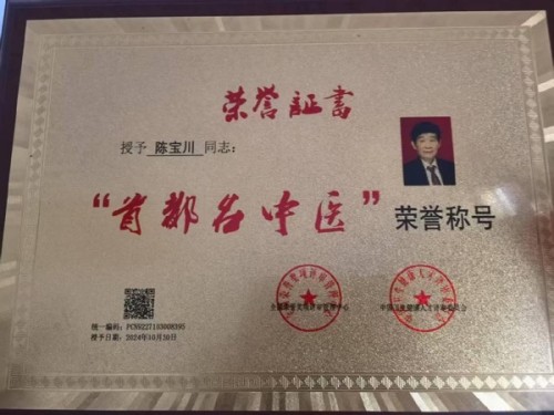 国粹承初心 中医献两会 时代国医——陈宝川