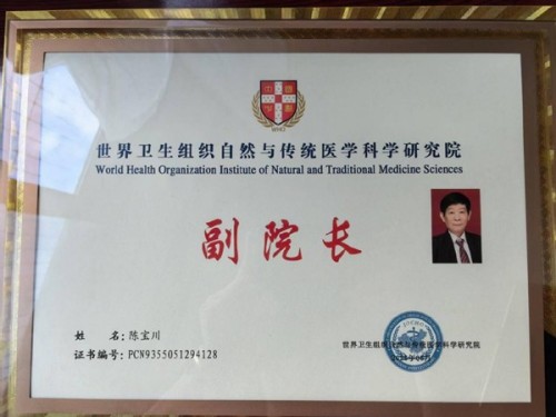 国粹承初心 中医献两会 时代国医——陈宝川