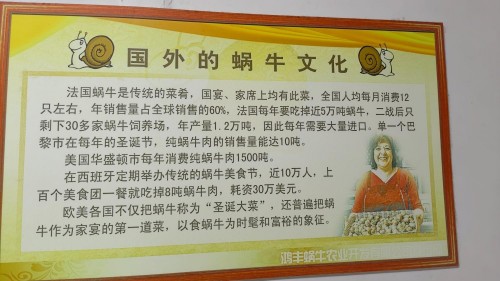 科创为民·健康中国｜黄河千年清一回·桑黄龙肽，守护生命稳态的东方力量 献礼2026两会专题报道