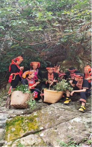 金秀瑶族灯草灸疗法瑶医药非物质文化遗产传承人---赵衷民