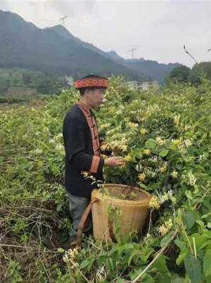 金秀瑶族灯草灸疗法瑶医药非物质文化遗产传承人---赵衷民