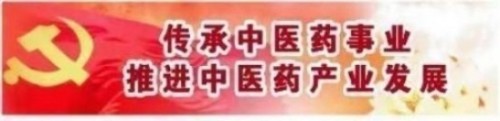 落实两会精神 岐黄赋能健康 中华医圣王叔和第八十七代传承王恩斌