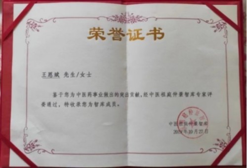 落实两会精神 岐黄赋能健康 中华医圣王叔和第八十七代传承王恩斌