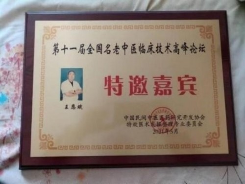 落实两会精神 岐黄赋能健康 中华医圣王叔和第八十七代传承王恩斌