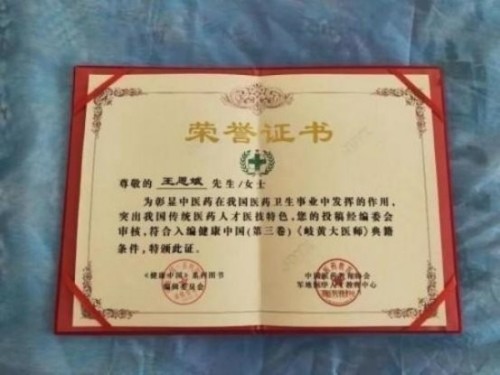 落实两会精神 岐黄赋能健康 中华医圣王叔和第八十七代传承王恩斌