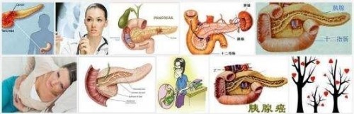 冉明医师创新国医精粹 铺就患者“健康之路”