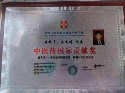 弘扬劳模精神  争当时代先锋 时代国医——陈宝川