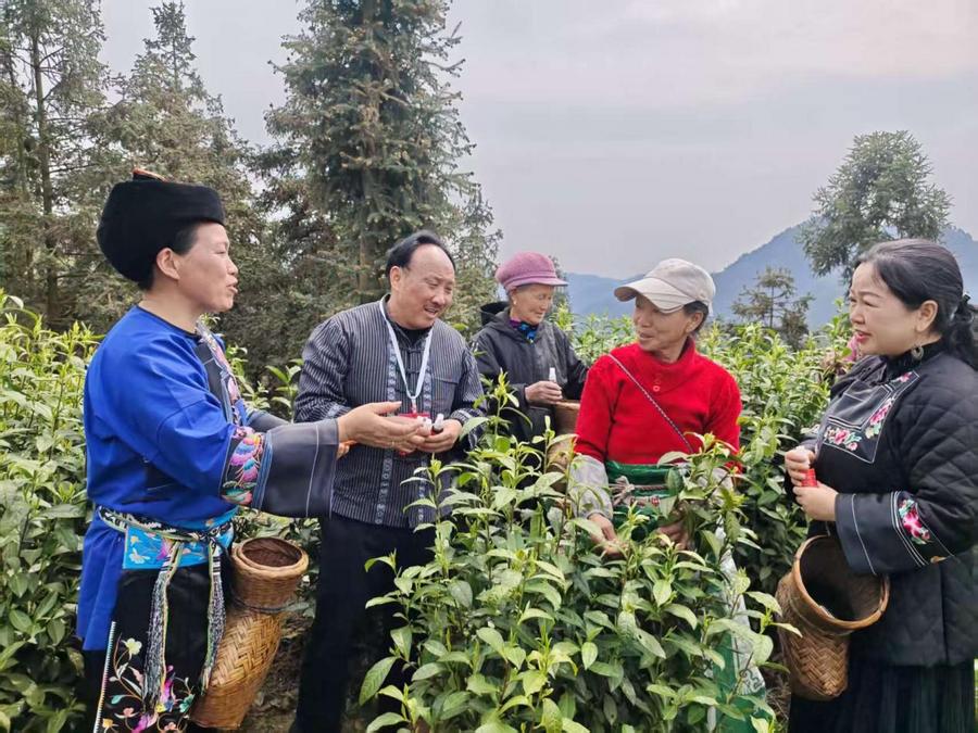 慢病防治健康行动符忠来走进黄金村健康服务