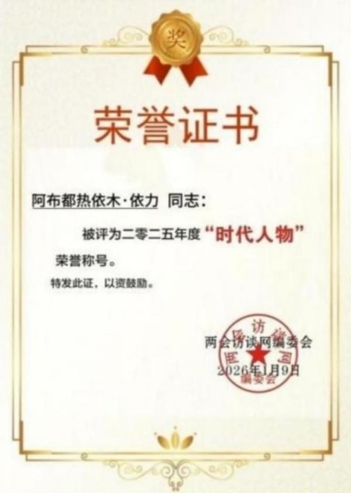 建党百五风华茂 匠心筑疆践初心——达围然阿布都热依木·依力