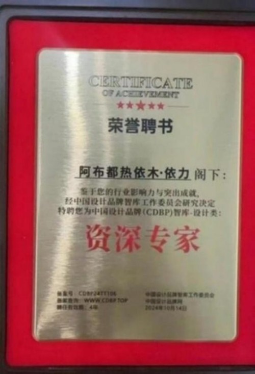建党百五风华茂 匠心筑疆践初心——达围然阿布都热依木·依力