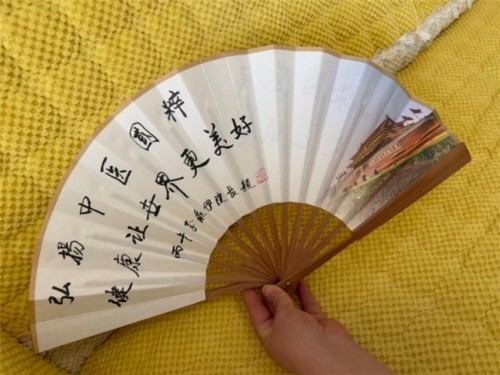 以绿茵为媒、以岐黄为桥 李乘伊携中医国粹亮相 2026 美加墨世界杯