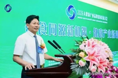笔墨寄岐黄 演讲擘远航｜李乘伊出席 2026 大健康产业品牌出海发展大会