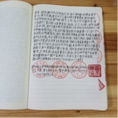 十家网站专题报道 《中文语言日》本期封面人物·贾玉柳