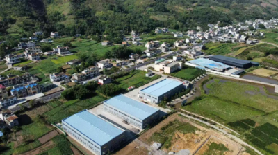 产业融合绘新景&nbsp;种养结合促振兴